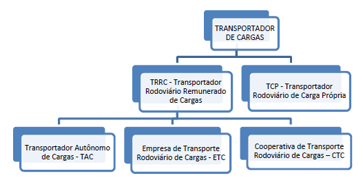 Tipos de Transportes Rodoviários de Cargas